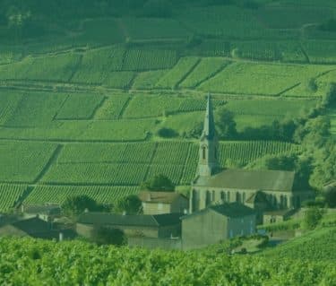 Q3 2024 Fine Wine Report - Featured image