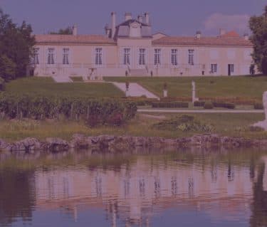 Q2 2024 Fine Wine Report - Featured image