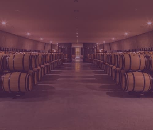 Q3 2025 Fine Wine Report - Featured image