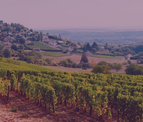 Sancerre and Loire Valley wine guide: Soils, top producers and vintages to know - Featured image