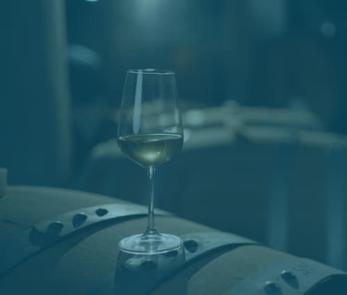 White Burgundy explained: Appellations, producers and ageing - Featured image